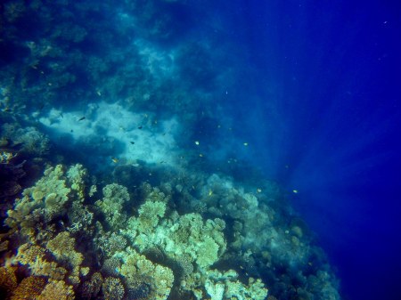 DCIM100GOPROGOPR0130.