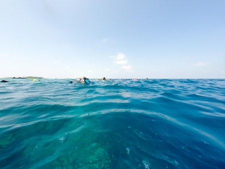 DCIM100GOPROGOPR0131.