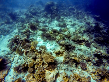 DCIM100GOPROGOPR0134.