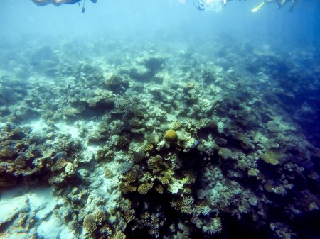 DCIM100GOPROGOPR0136.