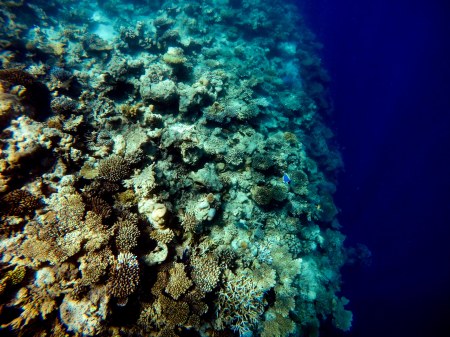 DCIM100GOPROGOPR0140.