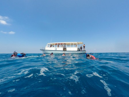 DCIM100GOPROGOPR0143.