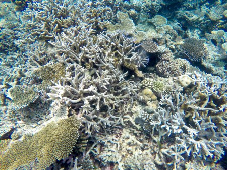 DCIM100GOPROGOPR0187.