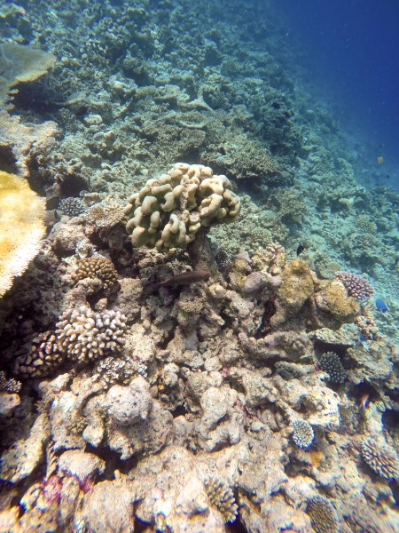 DCIM100GOPROGOPR0191.